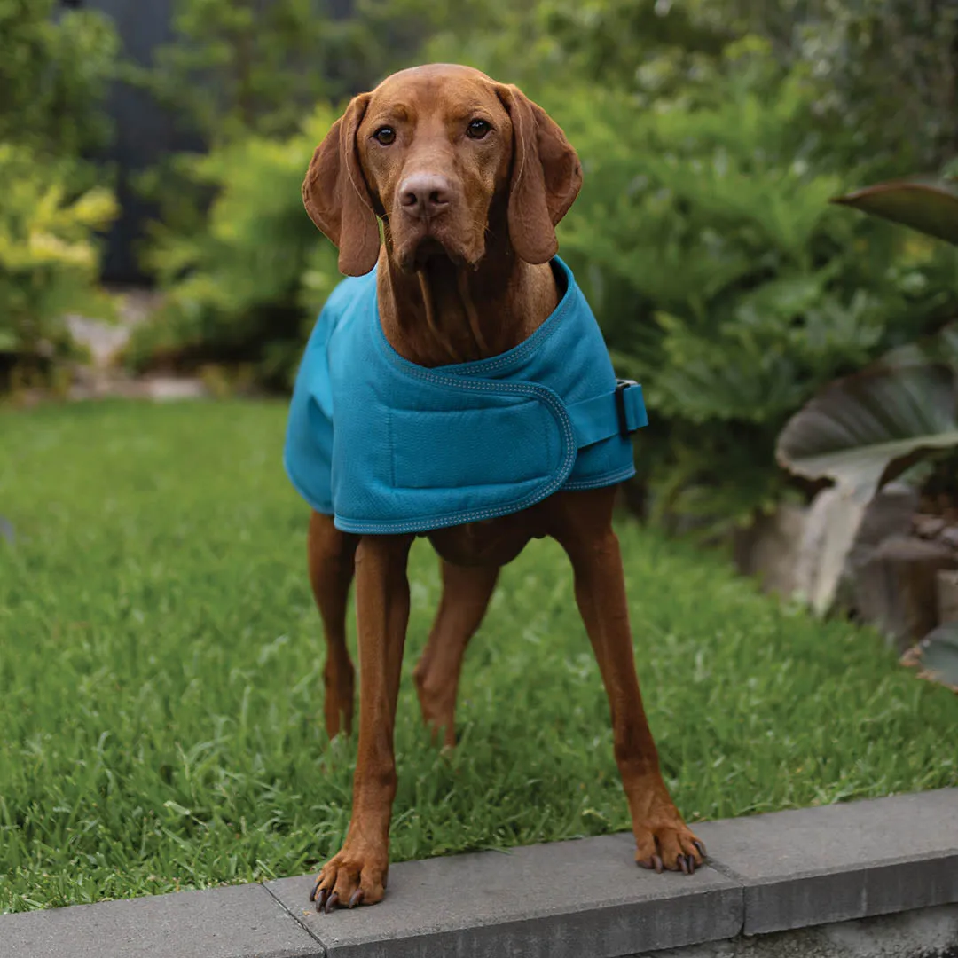 Adventure Dog Coat with Harness Hatch - Blue