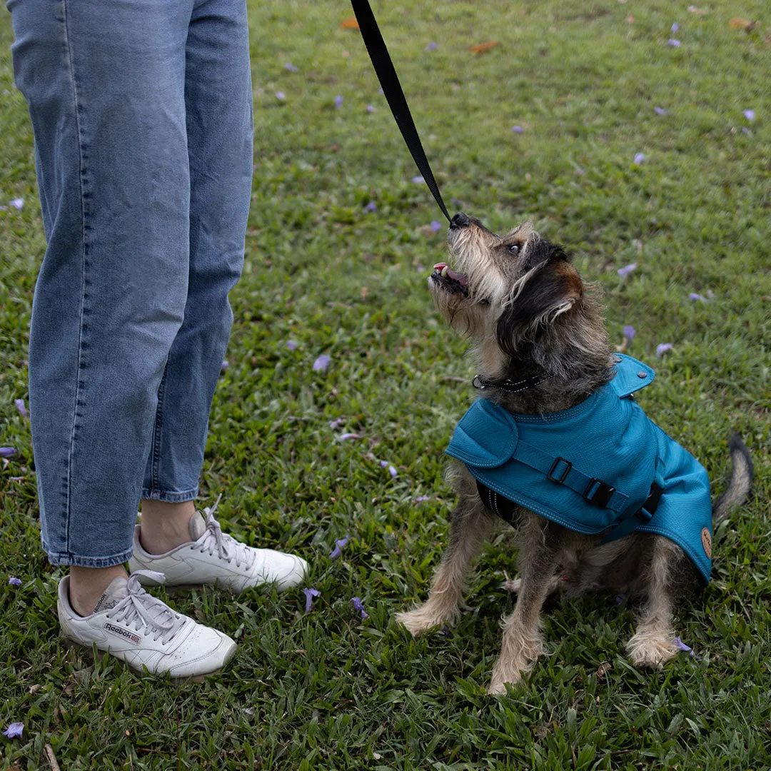 Adventure Dog Coat with Harness Hatch - Blue